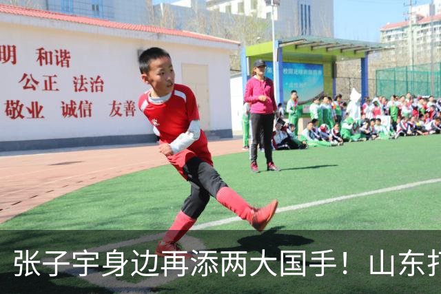 张子宇身边再添两大国手！山东打造豪华阵容，新赛季有望冲总冠军